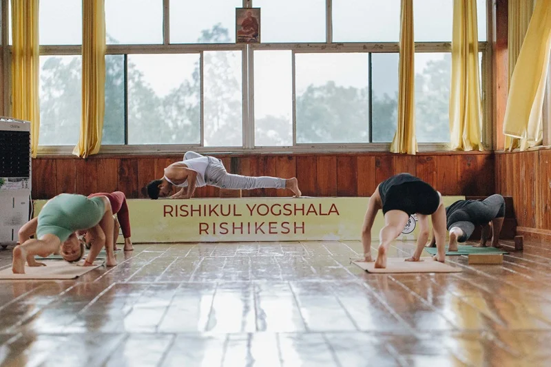 Annual Yoga Refresh in Rishikesh | Continuing Education Program in Rishikesh